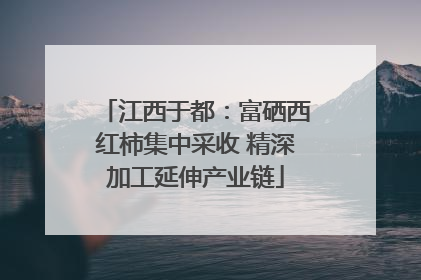江西于都：富硒西红柿集中采收 精深加工延伸产业链