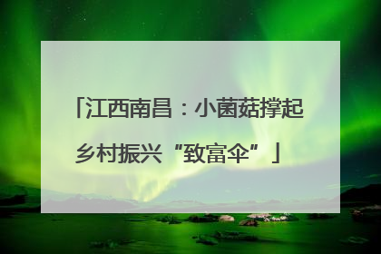 江西南昌：小菌菇撑起乡村振兴“致富伞”