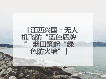 江西兴国：无人机飞防“蓝色盾牌” 烟田筑起“绿色防火墙”