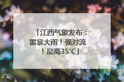 江西气象发布：雷暴大雨！强对流！最高35℃