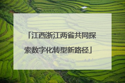 江西浙江两省共同探索数字化转型新路径