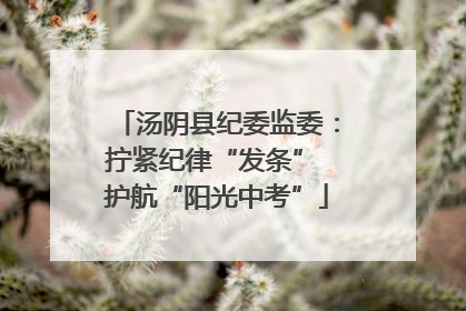 汤阴县纪委监委：拧紧纪律“发条” 护航“阳光中考”