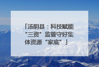 汤阴县：科技赋能“三资”监管守好集体资源“家底”