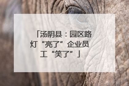 汤阴县：园区路灯“亮了”企业员工“笑了”