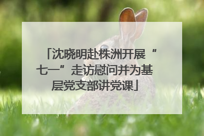 沈晓明赴株洲开展“七一”走访慰问并为基层党支部讲党课