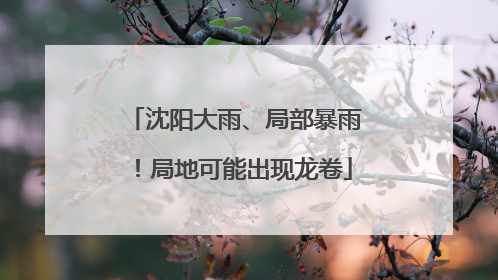 沈阳大雨、局部暴雨！局地可能出现龙卷