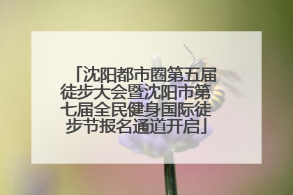 沈阳都市圈第五届徒步大会暨沈阳市第七届全民健身国际徒步节报名通道开启