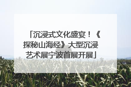 沉浸式文化盛宴！《探秘山海经》大型沉浸艺术展宁波首展开展