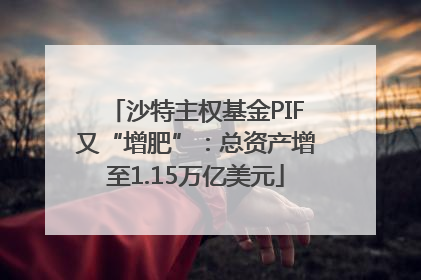 沙特主权基金PIF又“增肥”：总资产增至1.15万亿美元