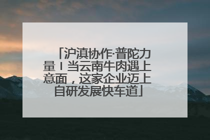 沪滇协作·普陀力量〡当云南牛肉遇上意面，这家企业迈上自研发展快车道