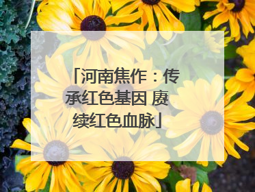 河南焦作：传承红色基因 赓续红色血脉