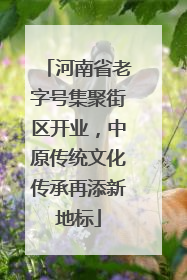 河南省老字号集聚街区开业，中原传统文化传承再添新地标
