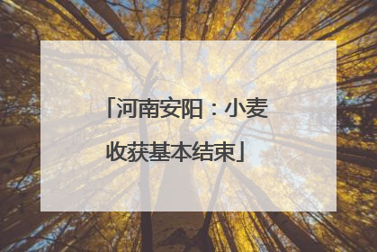 河南安阳：小麦收获基本结束