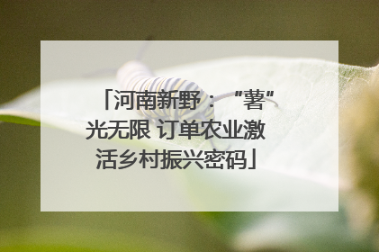 河南新野：“薯”光无限 订单农业激活乡村振兴密码