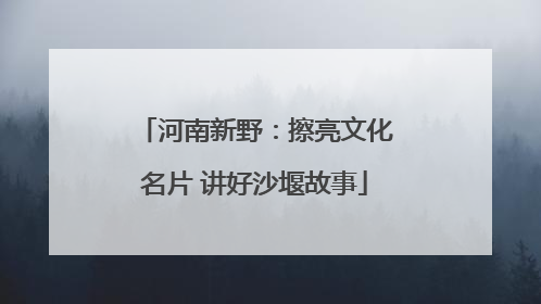 河南新野：擦亮文化名片 讲好沙堰故事