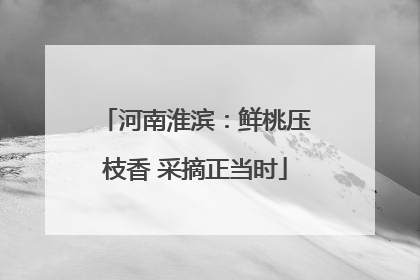 河南淮滨：鲜桃压枝香 采摘正当时
