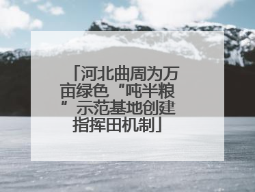 河北曲周为万亩绿色“吨半粮”示范基地创建指挥田机制