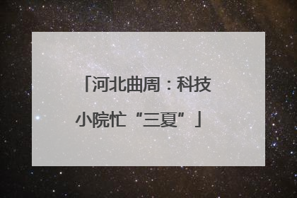河北曲周：科技小院忙“三夏”