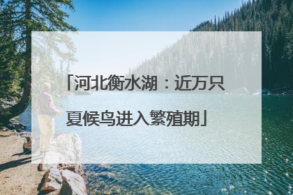 河北衡水湖：近万只夏候鸟进入繁殖期