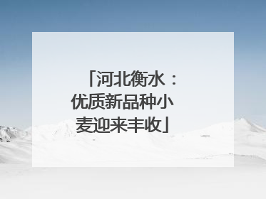 河北衡水：优质新品种小麦迎来丰收