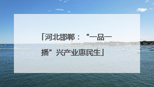 河北邯郸：“一品一播”兴产业惠民生