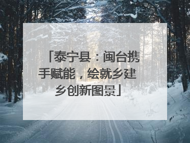 泰宁县：闽台携手赋能，绘就乡建乡创新图景