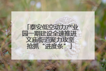 泰安低空动力产业园一期建设全速推进 文庙街道聚力攻坚抢抓“进度条”