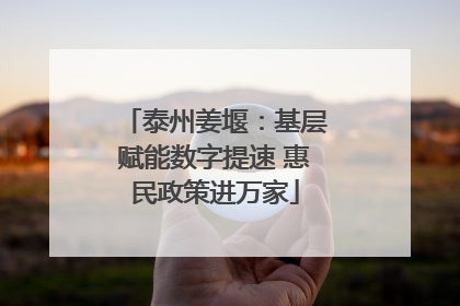 泰州姜堰：基层赋能数字提速 惠民政策进万家