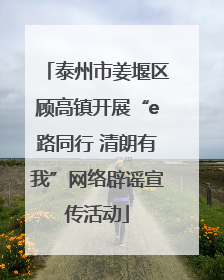 泰州市姜堰区顾高镇开展“e路同行 清朗有我”网络辟谣宣传活动
