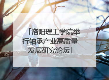 洛阳理工学院举行轴承产业高质量发展研究论坛