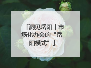 洞见岳阳丨市场化办会的“岳阳模式”