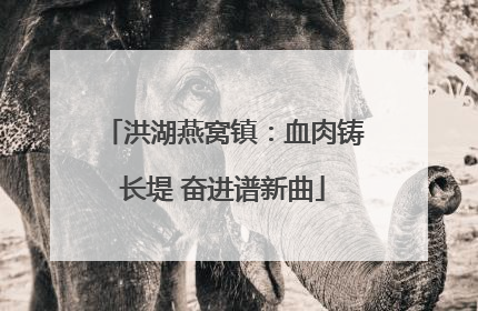 洪湖燕窝镇：血肉铸长堤 奋进谱新曲