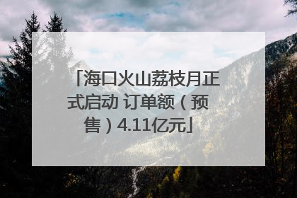 海口火山荔枝月正式启动 订单额（预售）4.11亿元