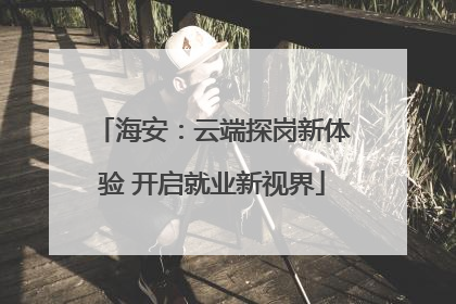 海安：云端探岗新体验 开启就业新视界