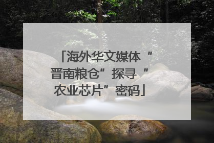 海外华文媒体“晋南粮仓”探寻“农业芯片”密码