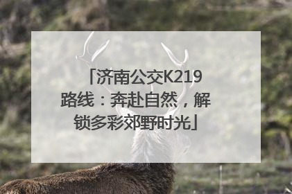 济南公交K219路线：奔赴自然，解锁多彩郊野时光