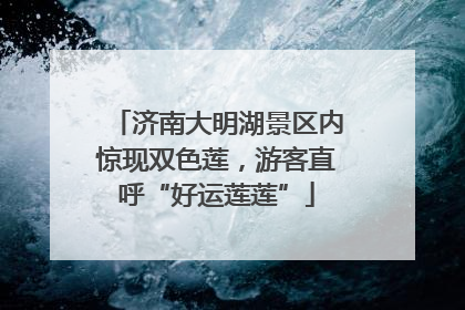 济南大明湖景区内惊现双色莲，游客直呼“好运莲莲”