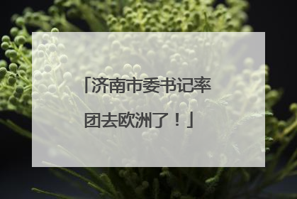 济南市委书记率团去欧洲了！