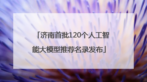 济南首批120个人工智能大模型推荐名录发布