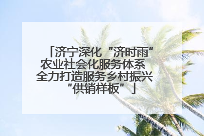 济宁深化“济时雨”农业社会化服务体系 全力打造服务乡村振兴“供销样板”