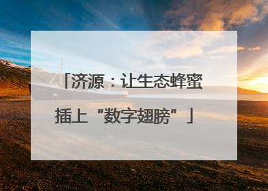 济源：让生态蜂蜜插上“数字翅膀”
