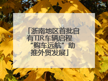 浙南地区首批自有TIR车辆启程 “购车远航”助推外贸发展