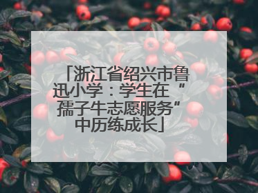 浙江省绍兴市鲁迅小学：学生在“孺子牛志愿服务”中历练成长