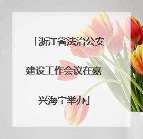 浙江省法治公安建设工作会议在嘉兴海宁举办