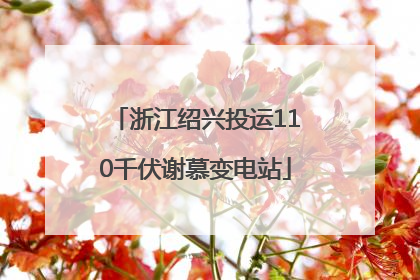 浙江绍兴投运110千伏谢慕变电站