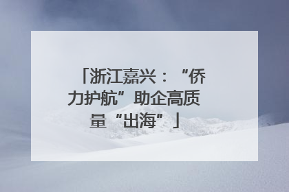 浙江嘉兴：“侨力护航”助企高质量“出海”