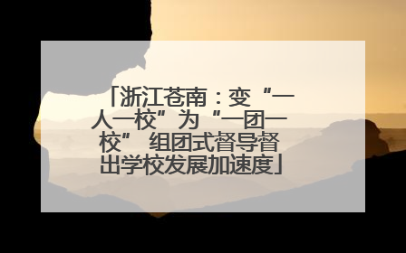 浙江苍南：变“一人一校”为“一团一校” 组团式督导督出学校发展加速度