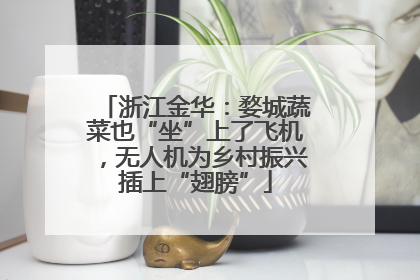 浙江金华：婺城蔬菜也“坐”上了飞机，无人机为乡村振兴插上“翅膀”