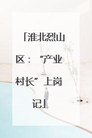 淮北烈山区：“产业村长”上岗记