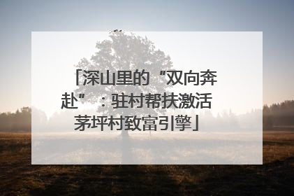 深山里的“双向奔赴”：驻村帮扶激活茅坪村致富引擎